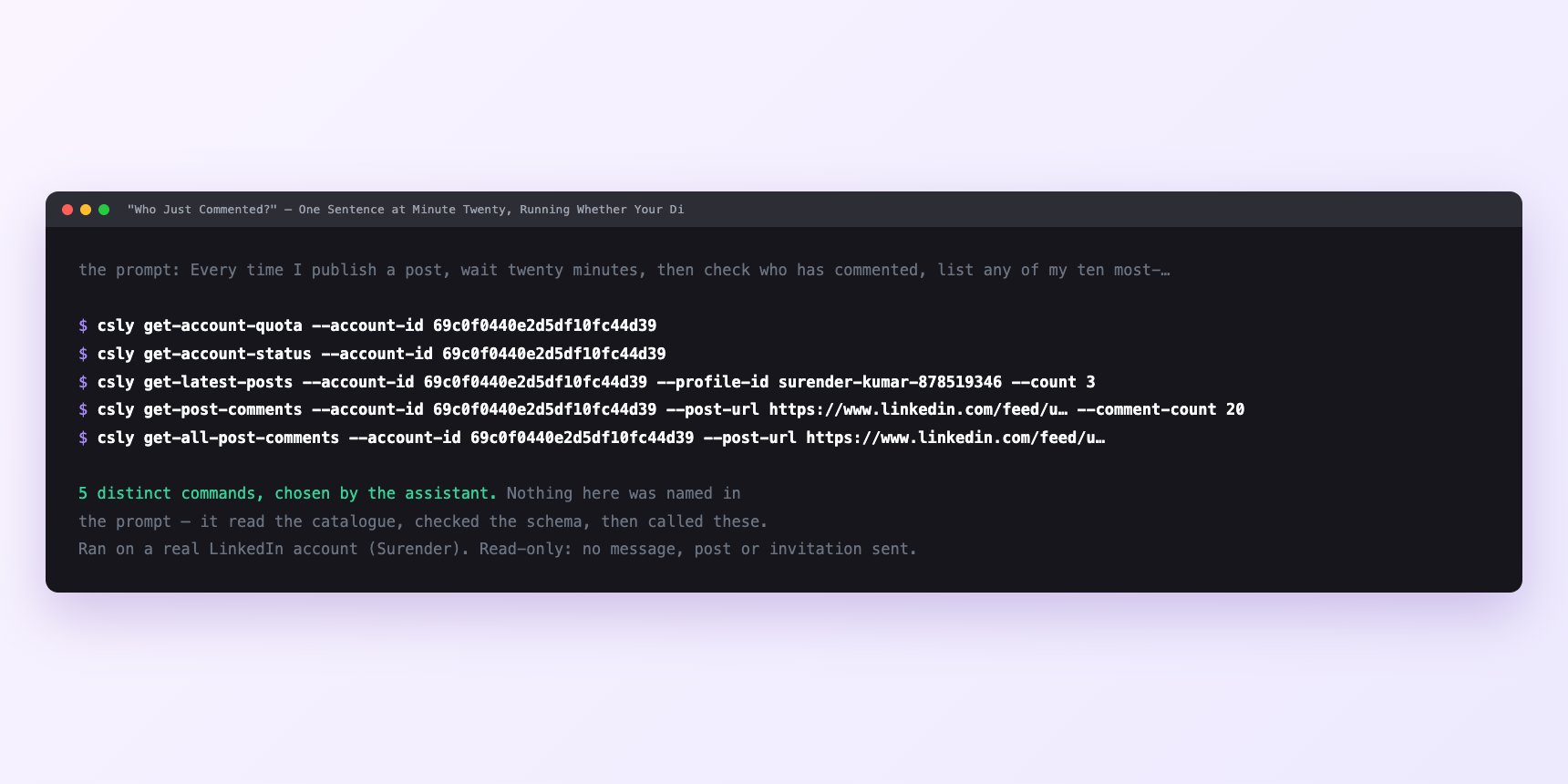 Terminal showing the commands an assistant called for "Who Just Commented?"