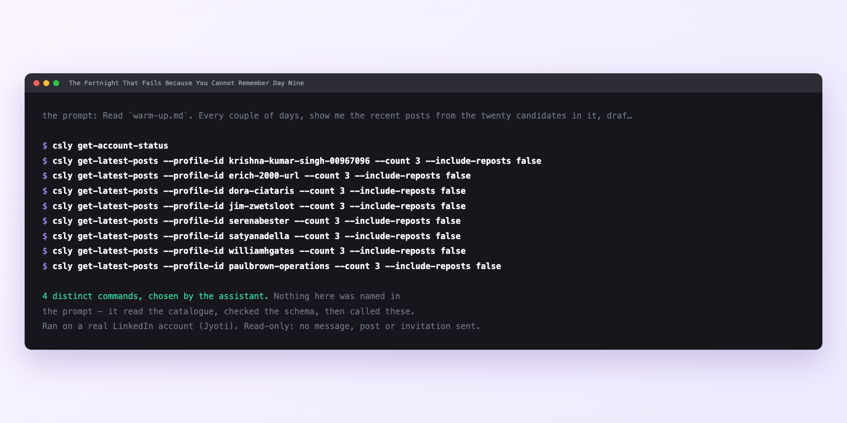 Terminal showing the commands an assistant called for The Fortnight That Fails Because You Cannot Remember Day Nine