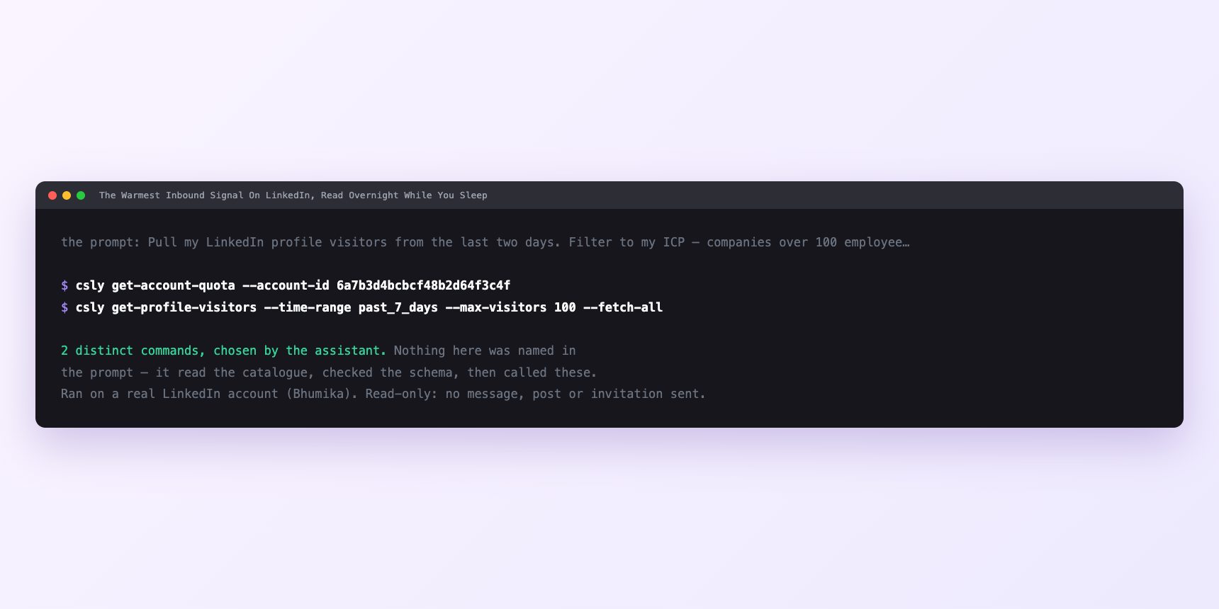 Terminal showing the commands an assistant called for The Warmest Inbound Signal On LinkedIn, Read Overnight While You Sleep