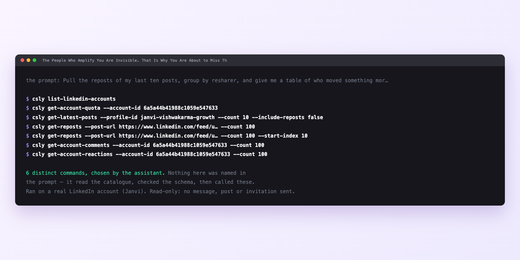 Terminal showing the commands an assistant called for The People Who Amplify You Are Invisible. That Is Why You Are About to Miss Them.