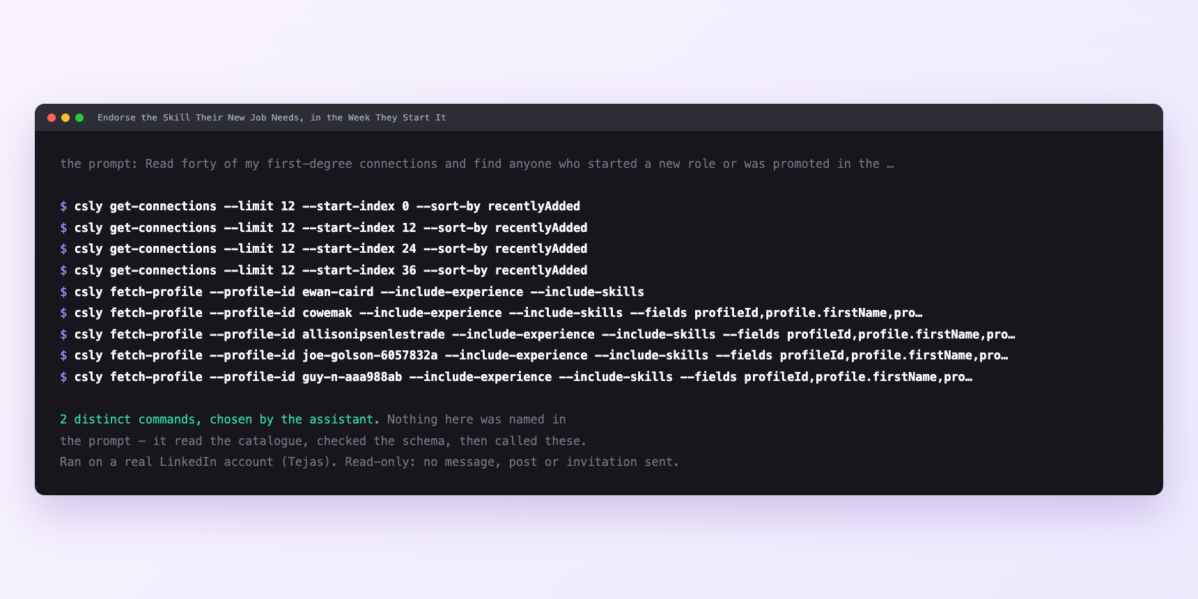 Terminal showing the commands an assistant called for Endorse the Skill Their New Job Needs, in the Week They Start It